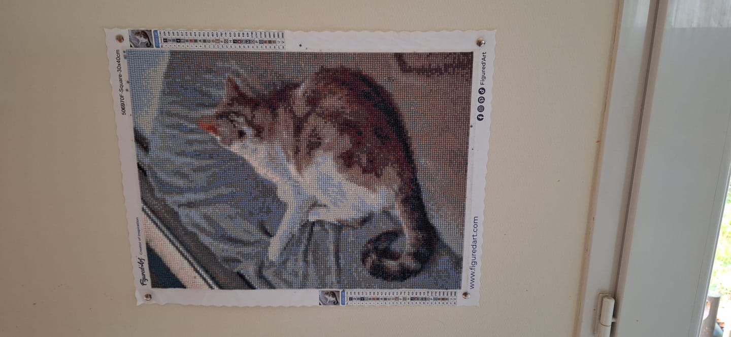 Customer photo review of Diamond Painting Personnalisé