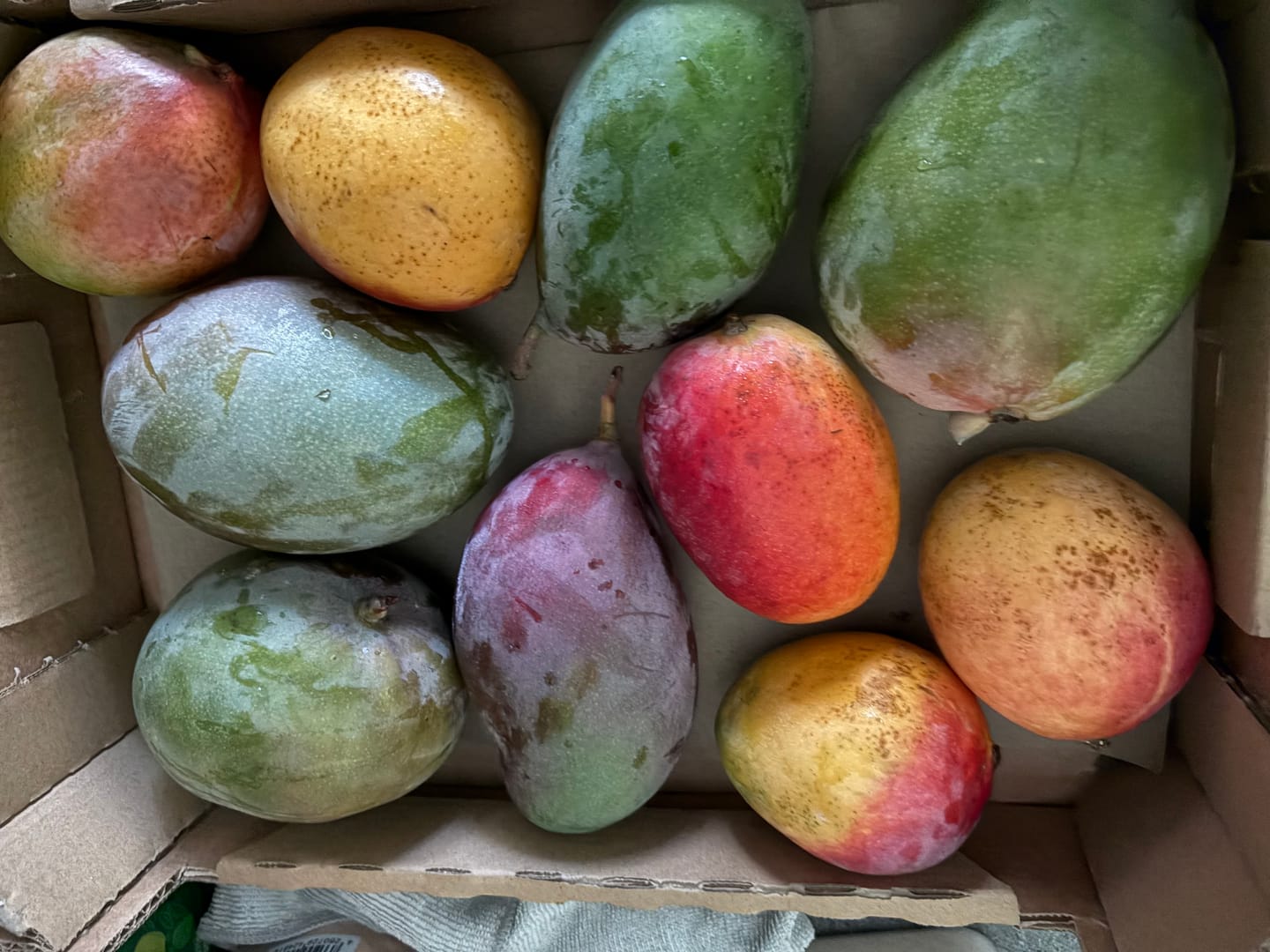 Customer photo review of Mango-Mix Bio von Julian 4kg Aktionspreis %