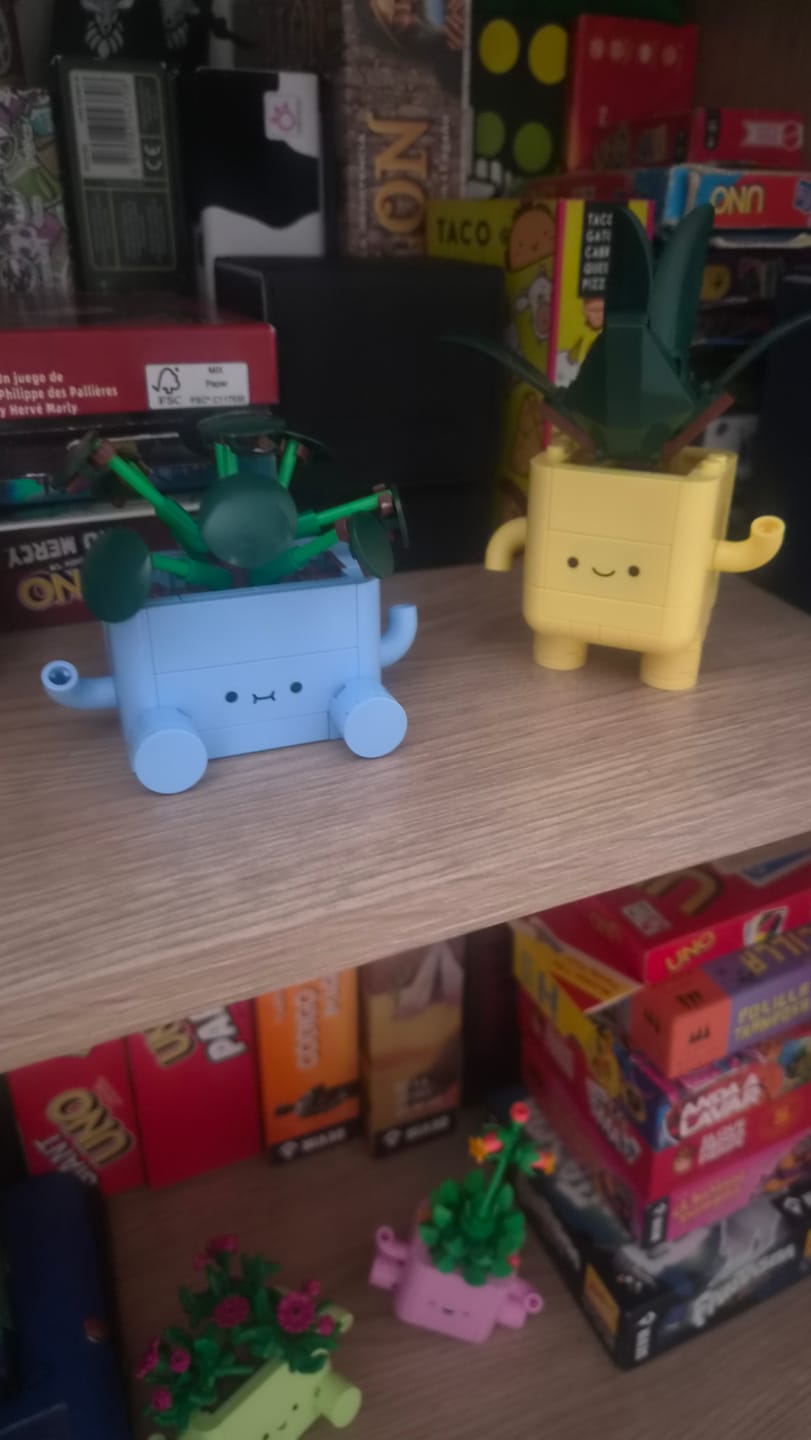 Customer photo review of PLANTAS FELICES