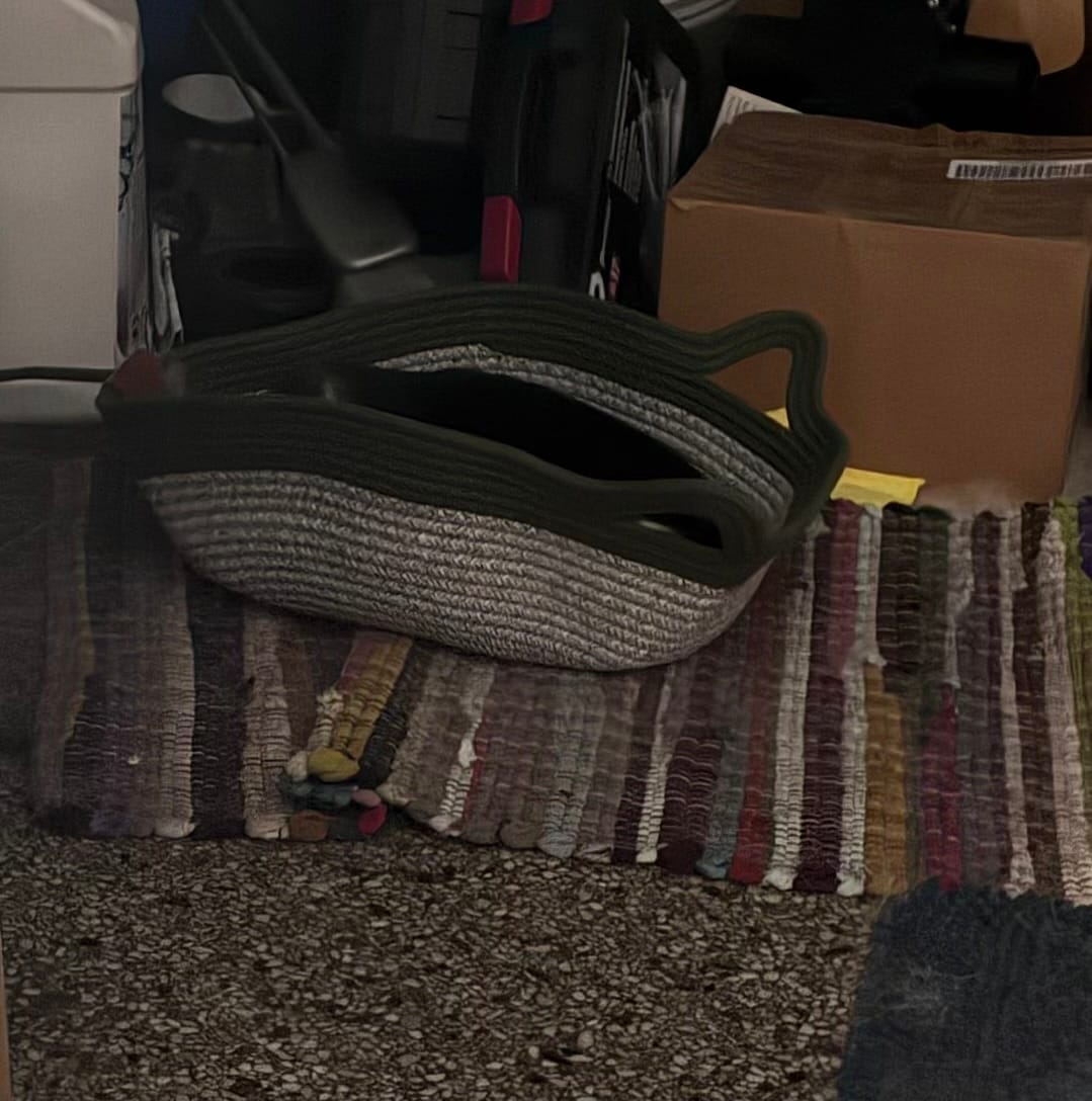 Customer photo review of Instinct Basket | Meet the first research-backed natural territory for indoor cats