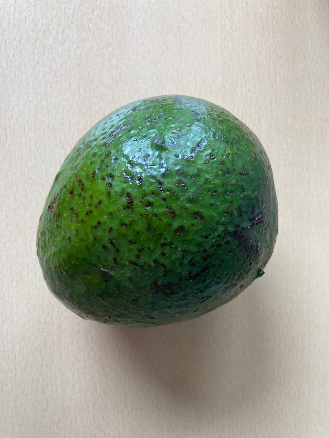 Customer photo review of Avocado Margarida (Stk. ca. 500g) Aktionswoche %