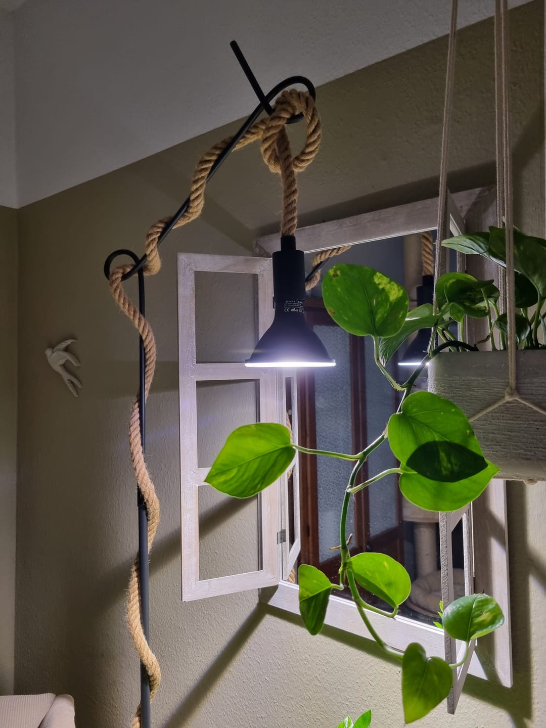 Customer photo review of Pflanzen Lampen - Jungle Lux (LED)