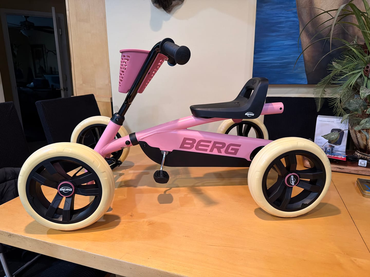 Customer photo review of BERG Buzzy
