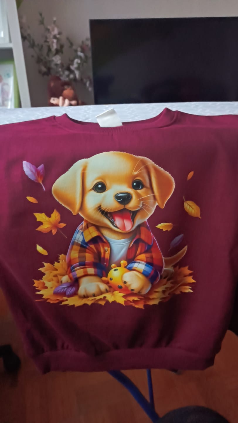 Customer photo review of Bügelbild Hundewelpe im Herbstlaub
