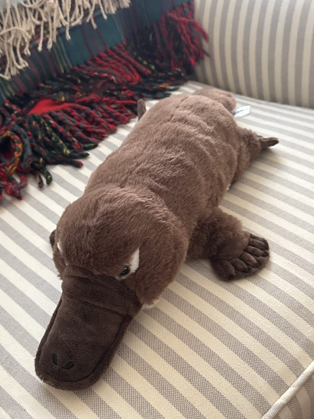 Customer photo review of Duckbill Platypus Soft Stuffed Plush Toy