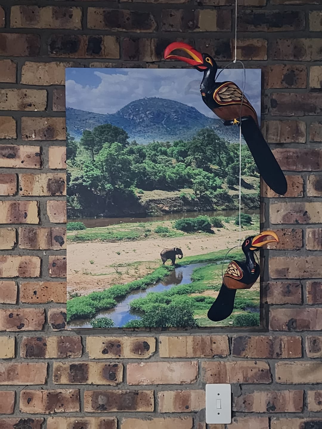 Customer photo review of Single Canvas Options (A5 - A0)