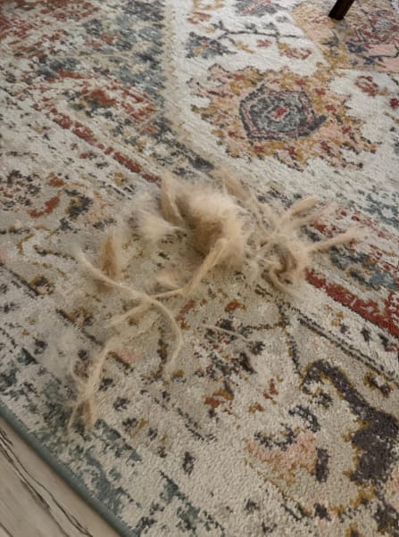 Customer photo review of Guante adiós pelos