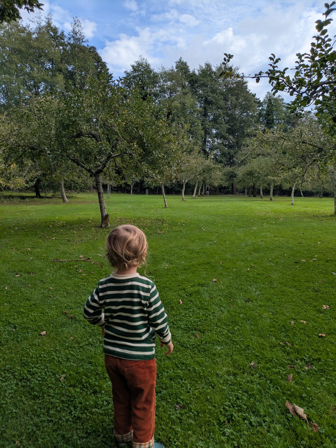 Customer photo review of Olive Green Striped Long Sleeve T-Shirt