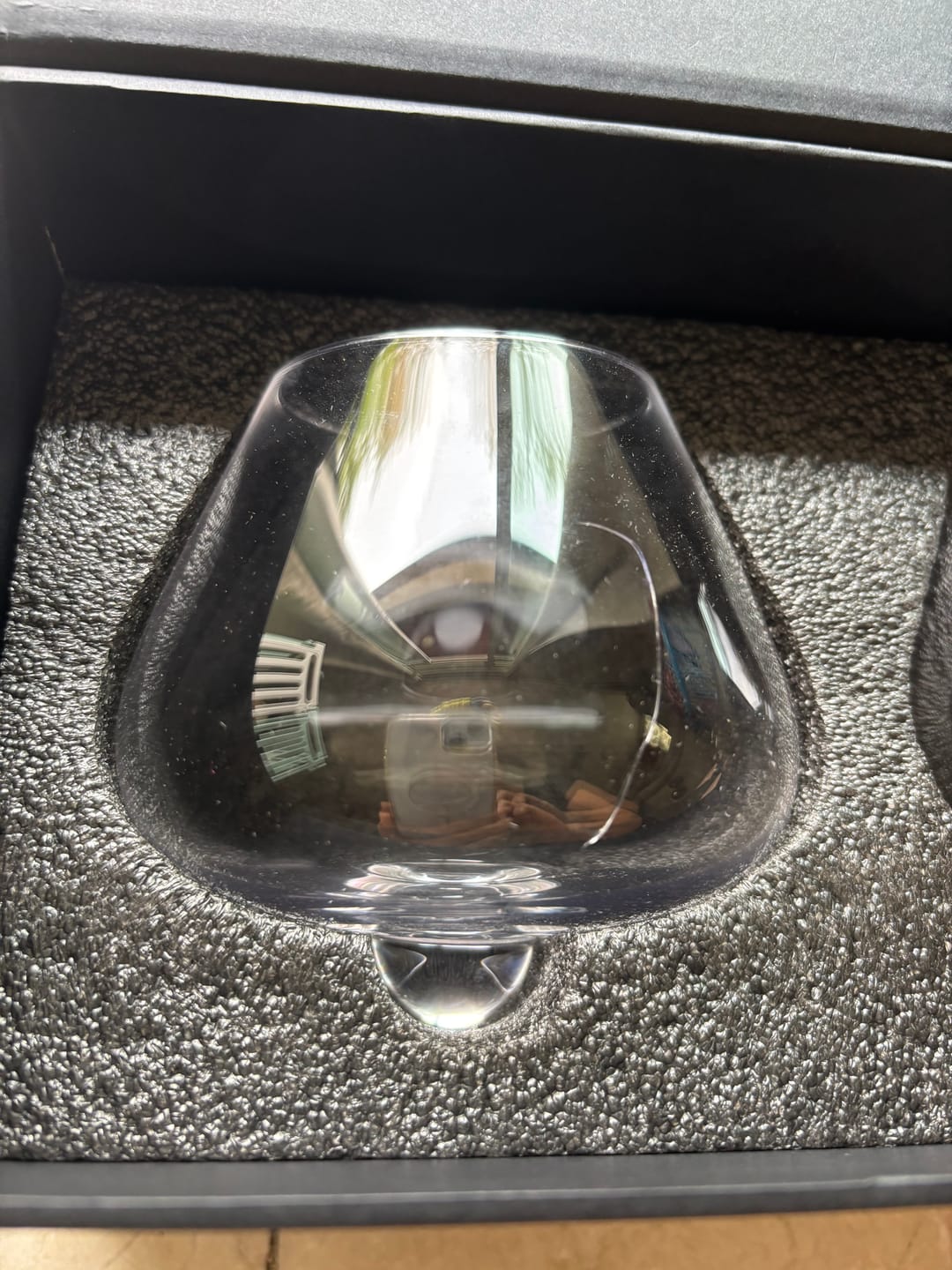 Customer photo review of Aequilibrium Wine Glass