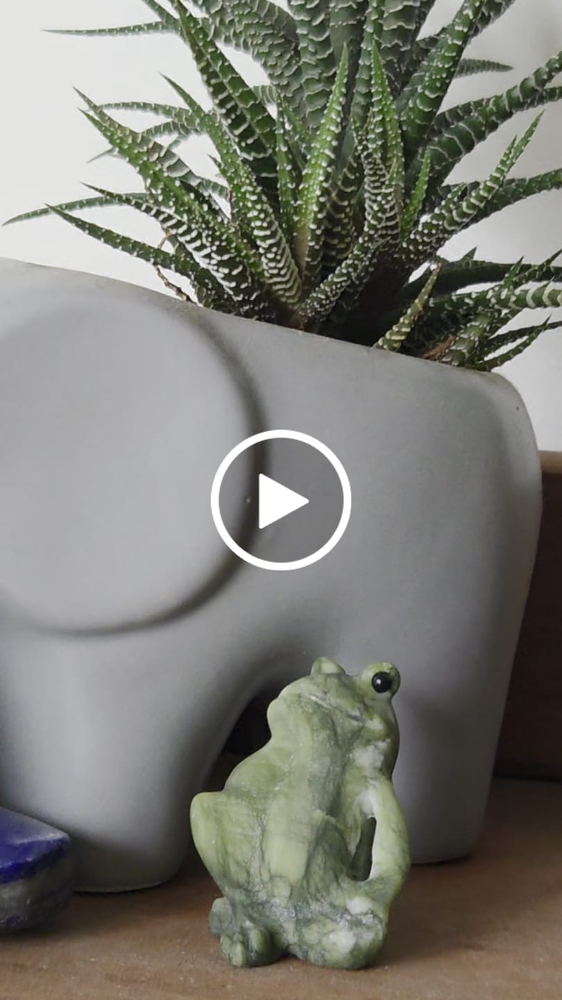 Customer video review of Natural Crystal Daydreaming Frog Carving