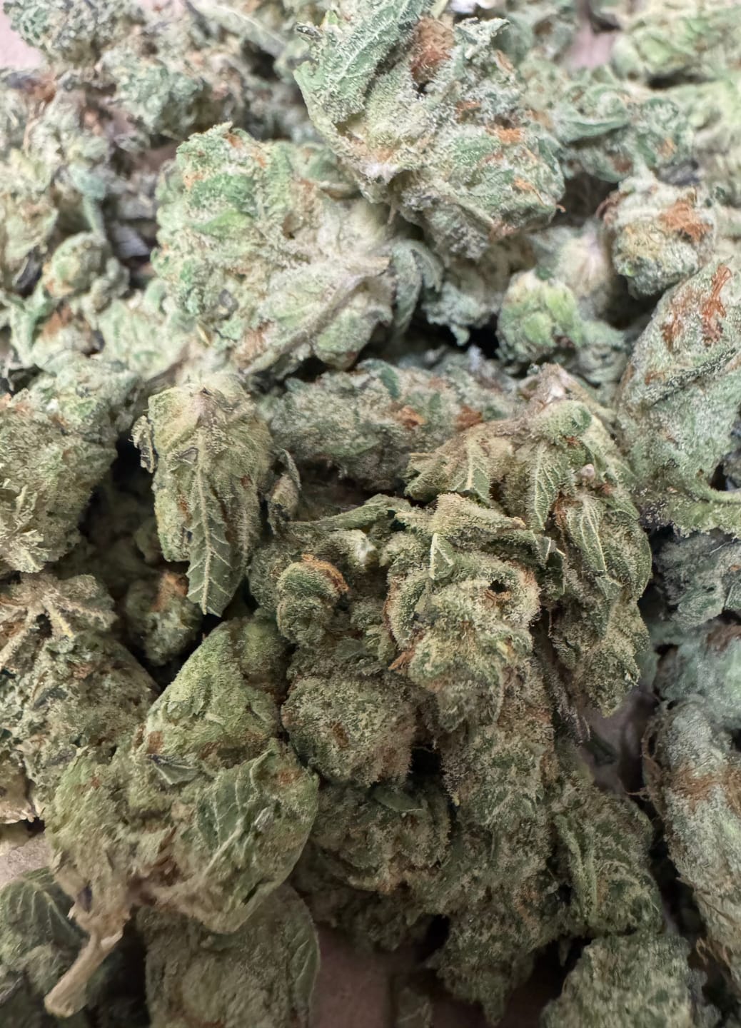 Customer photo review of Blue Dream