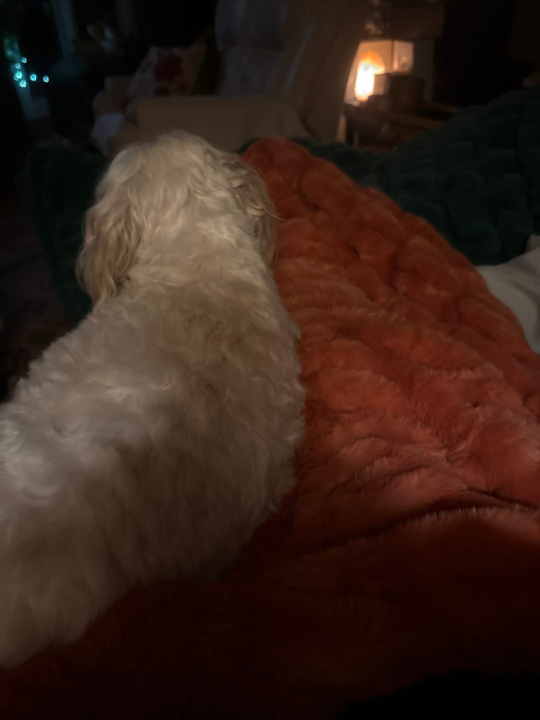 Customer photo review of Hugs Fall Harvest Blanket