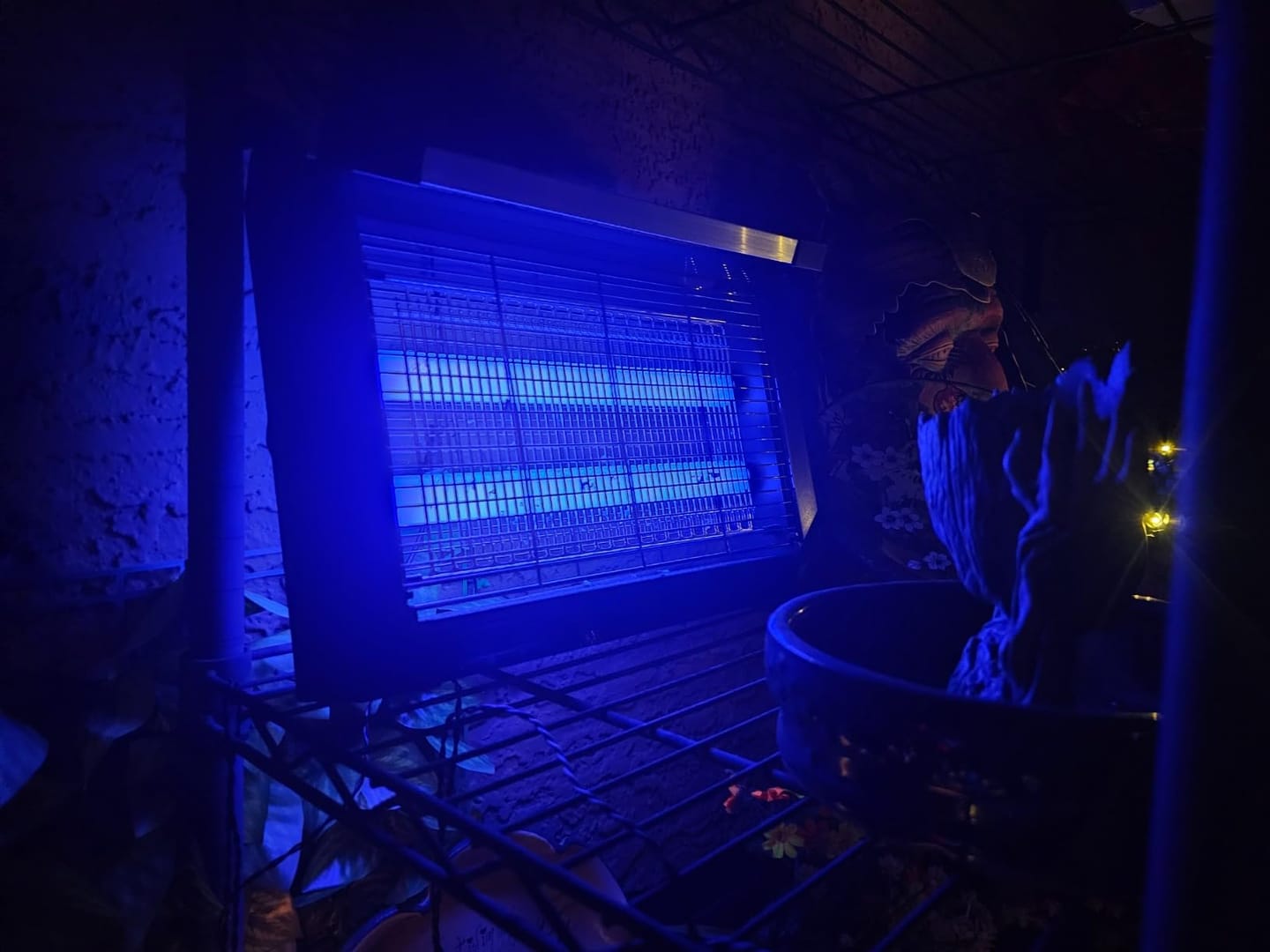 Customer photo review of GroundGuard Sentinel — Solar Bug Zapper