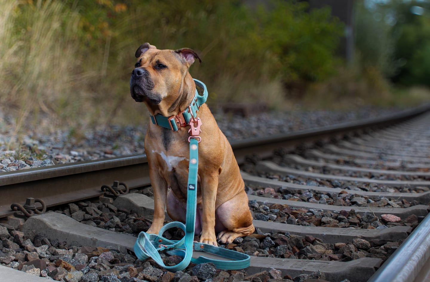 Customer photo review of Multi Guard Leash Rose Edition Pastel Green - Multi-väktarkoppel