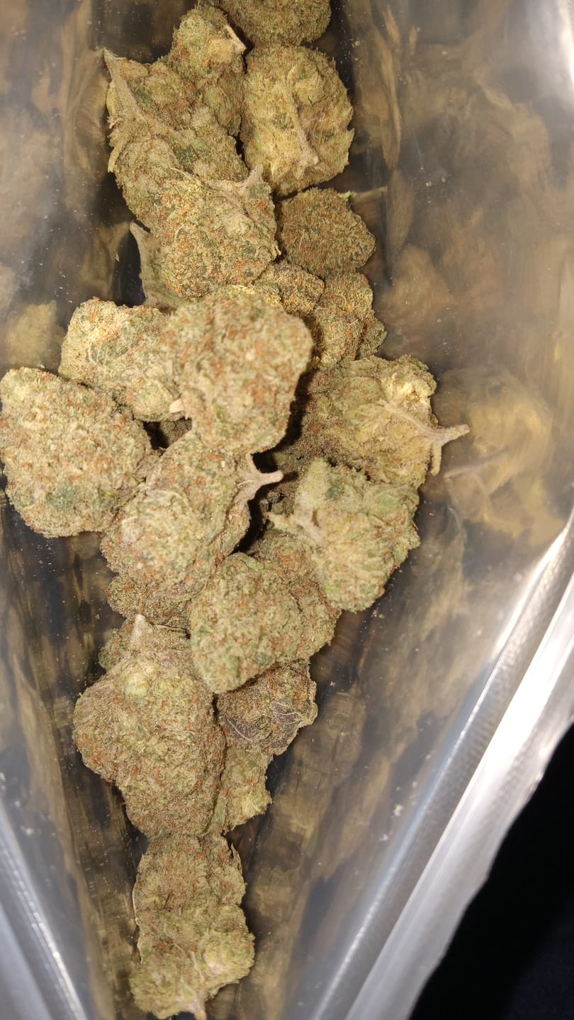 Customer photo review of Orange Dream THCA Flower