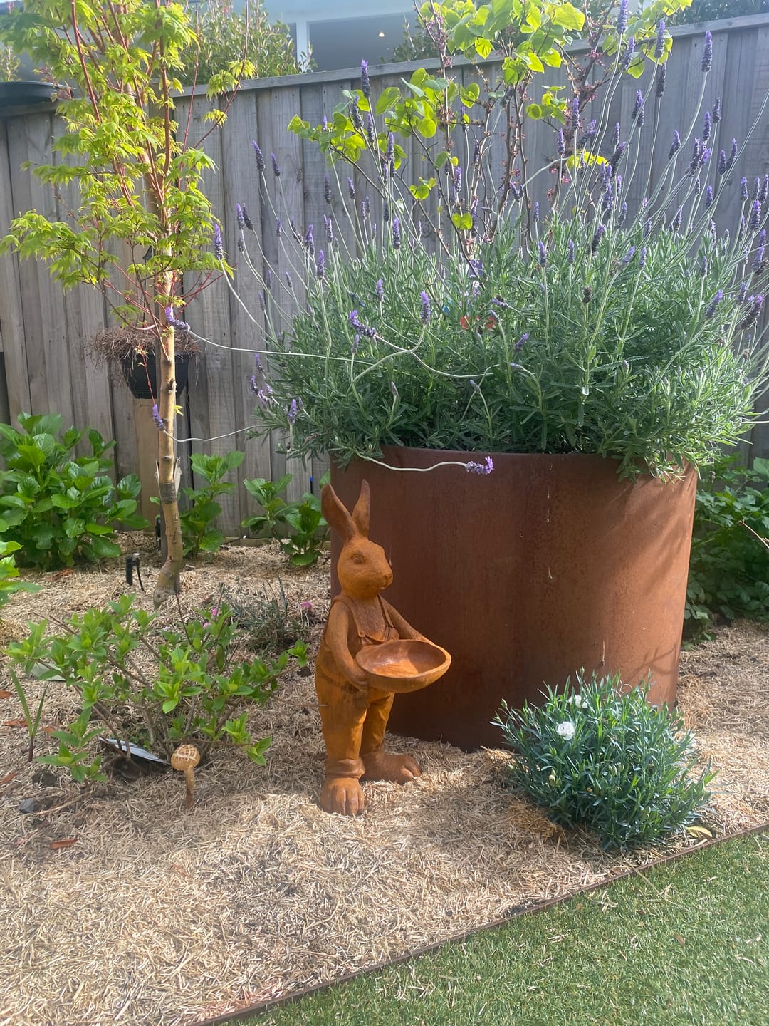 Customer photo review of Farmer Barnaby French Provincial Hare Statue Bird Feeder, Rust Cast Iron 52.5cm