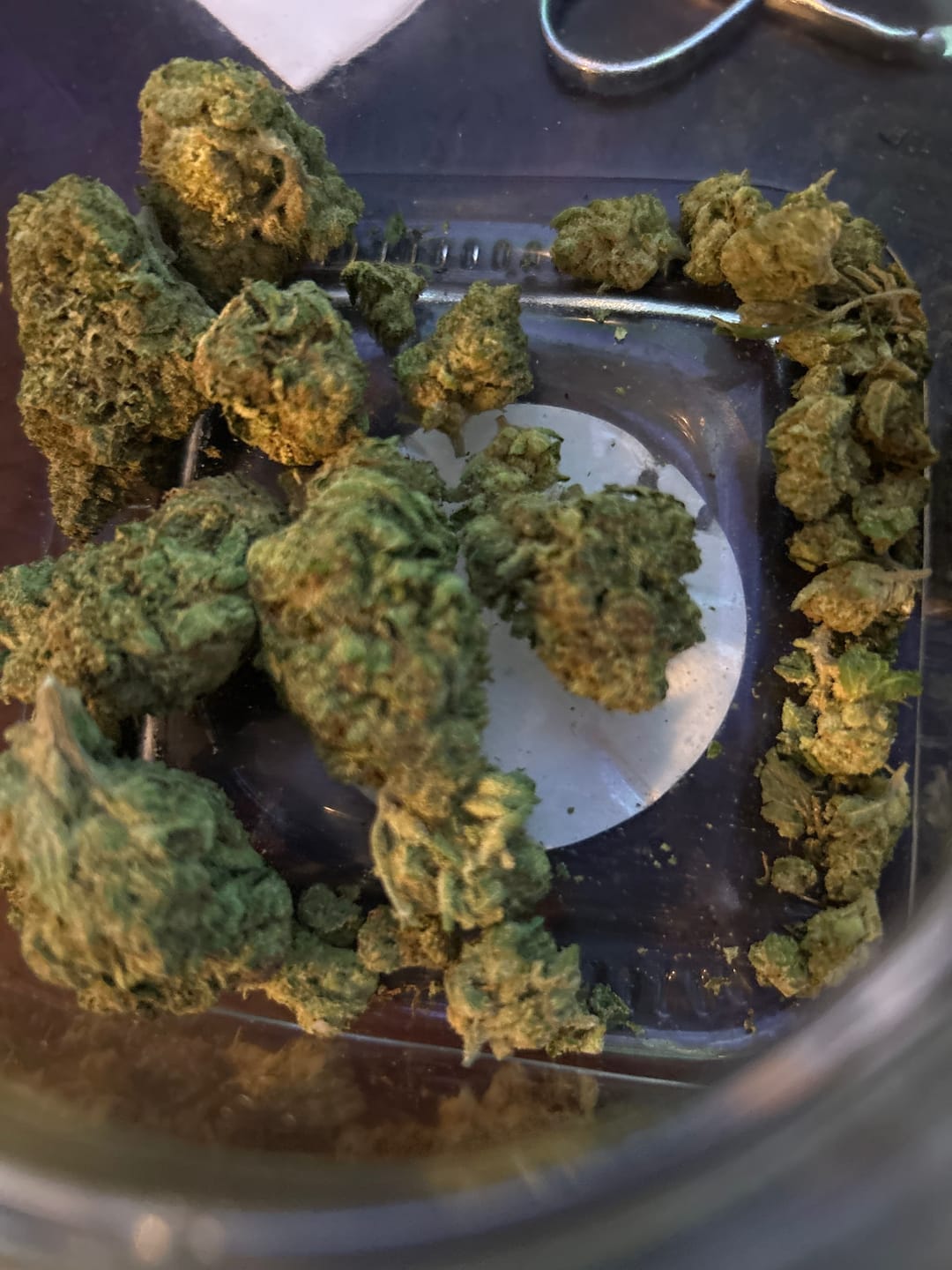 Customer photo review of Big League Choo THCA Flower