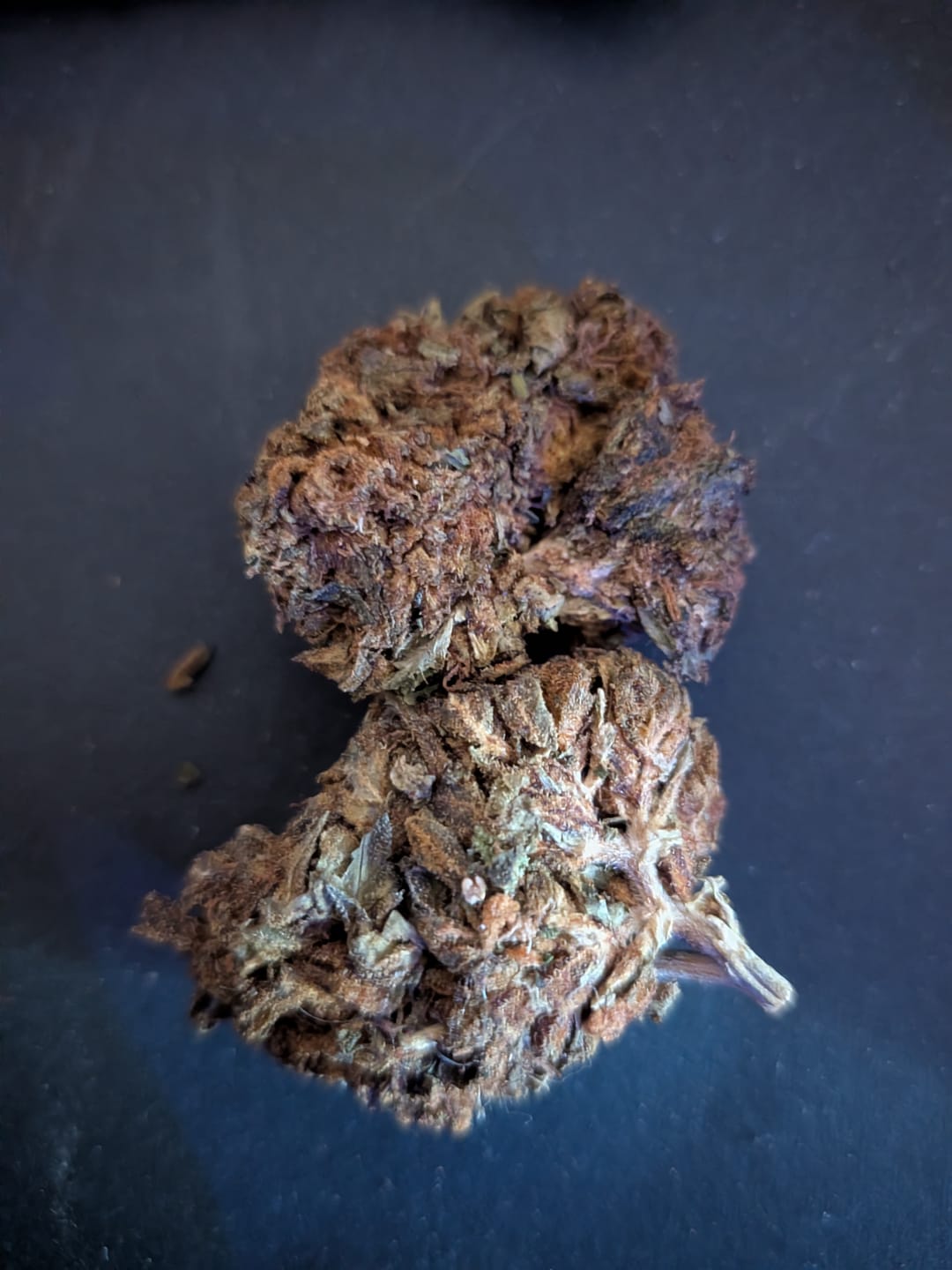 Customer photo review of Cheap THCA Flower Ounce
