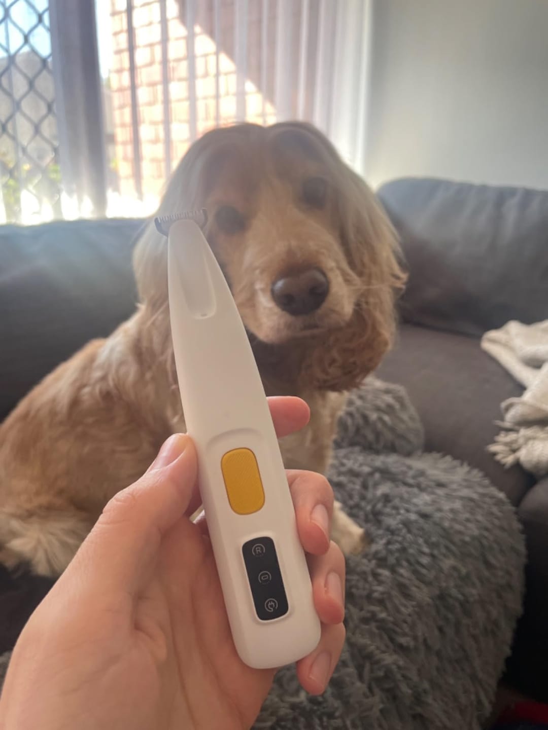 Customer photo review of Happy Paws™ Precision Paw & Fur Trimmer