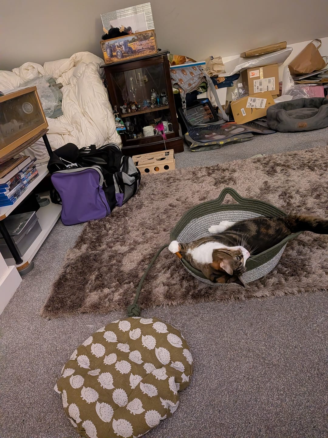 Customer photo review of Instinct Basket | Meet the first research-backed natural territory for indoor cats