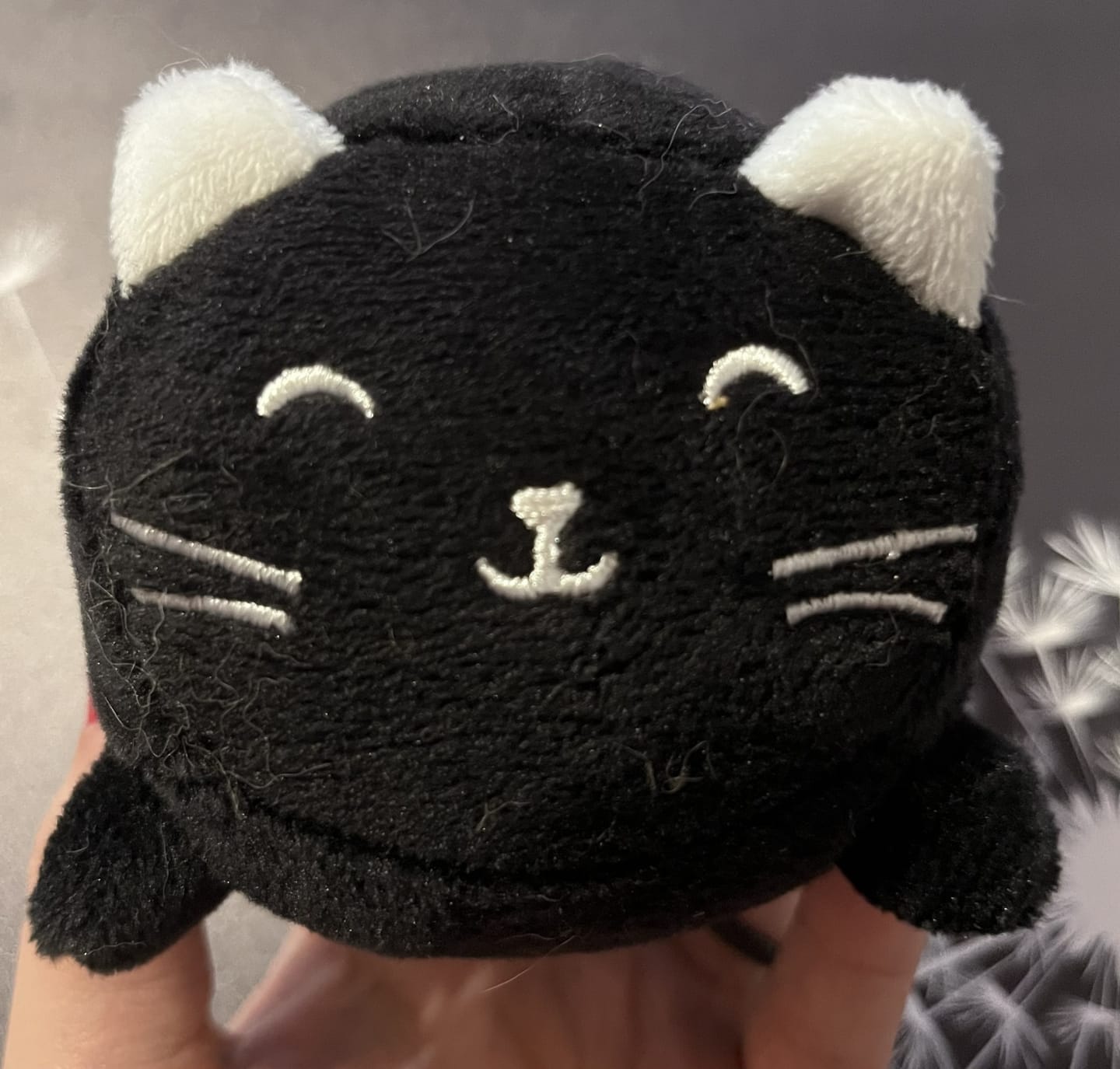 Customer photo review of Luna – Schwarze Katze als Stressball und Bildschirmreiniger