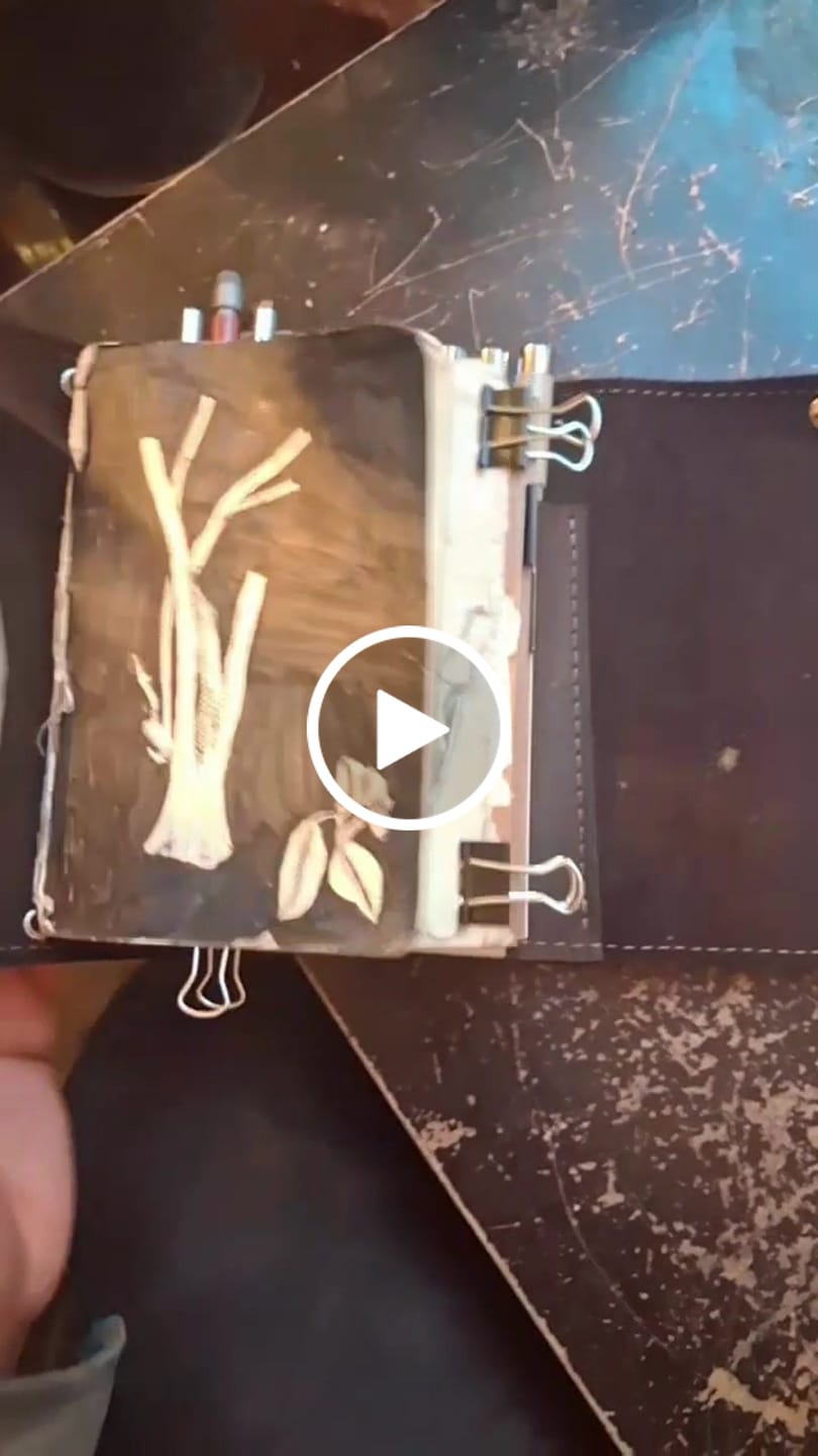 Customer video review of Pocket Size Carolina Journal