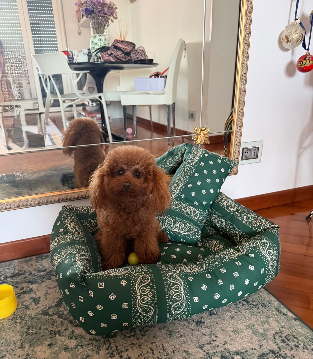 Customer photo review of Cuccia Divanetto Cani Bandana Verde | Made in Italy