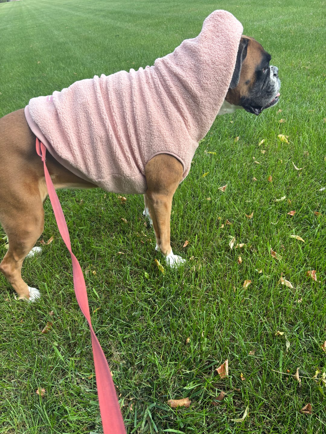 Customer photo review of Teddy Sherpa Jacket - Pink