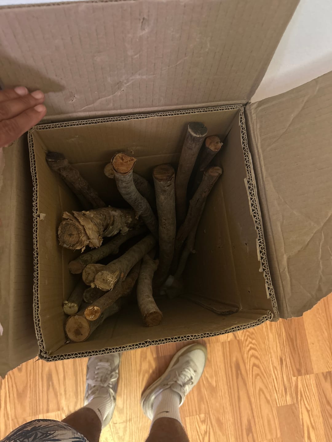 Customer photo review of Carga de 21 Palos