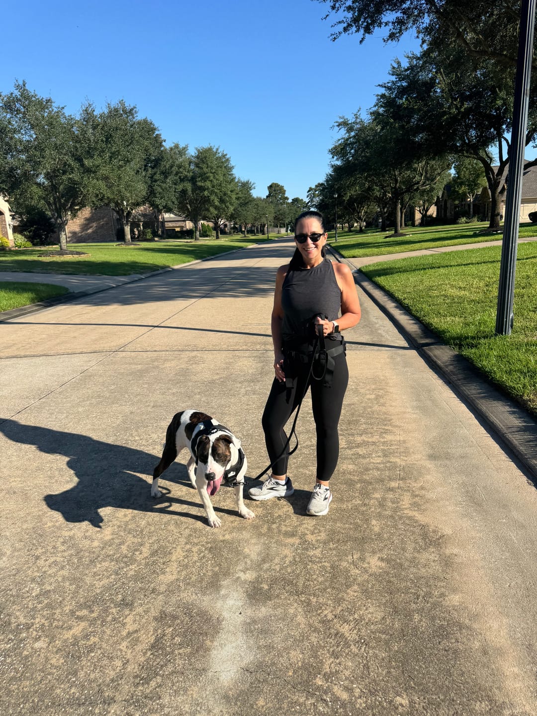 Customer photo review of No Pull Bully Proof Harness