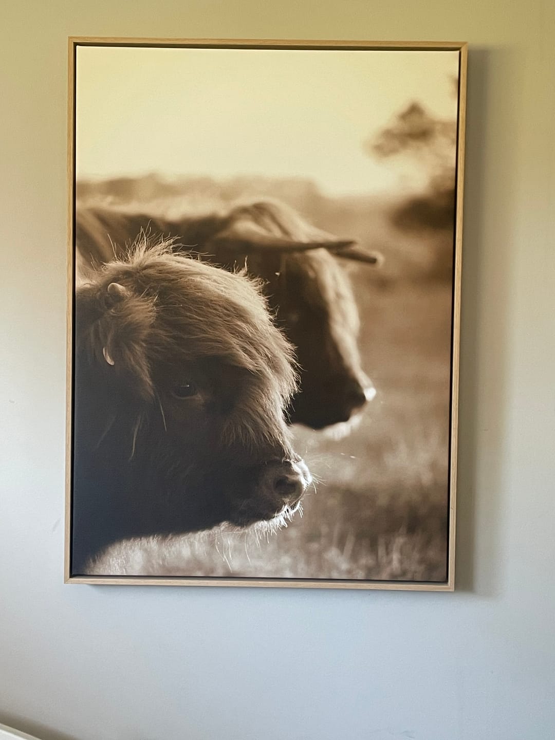 Customer photo review of Photo only | Photo Framed Canvas