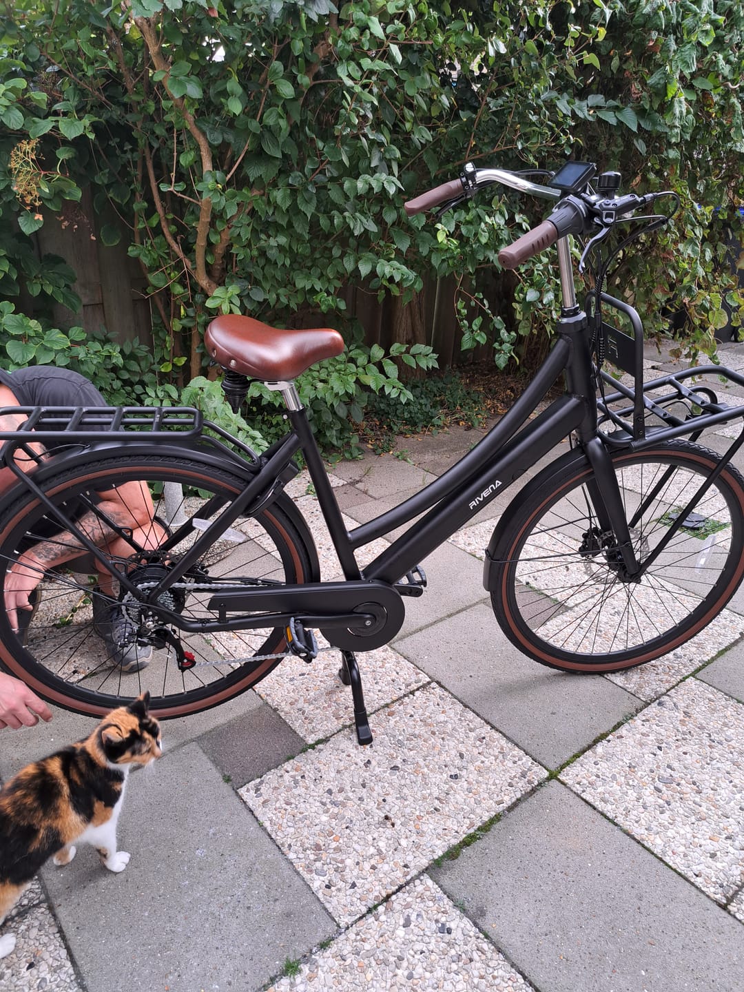 Customer photo review of Cargo Plus D7