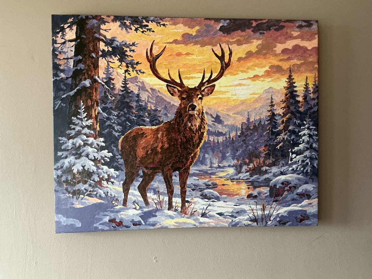 Customer photo review of Cerf majestueux en Hiver