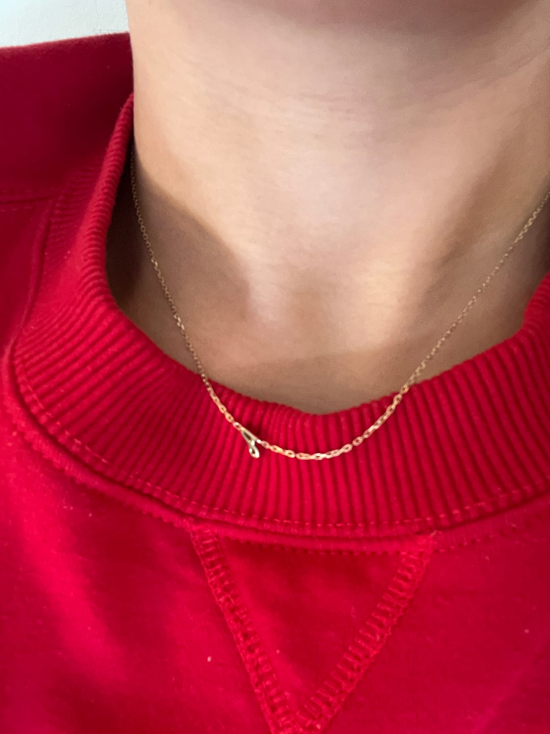 Customer photo review of Initial Chain Necklace