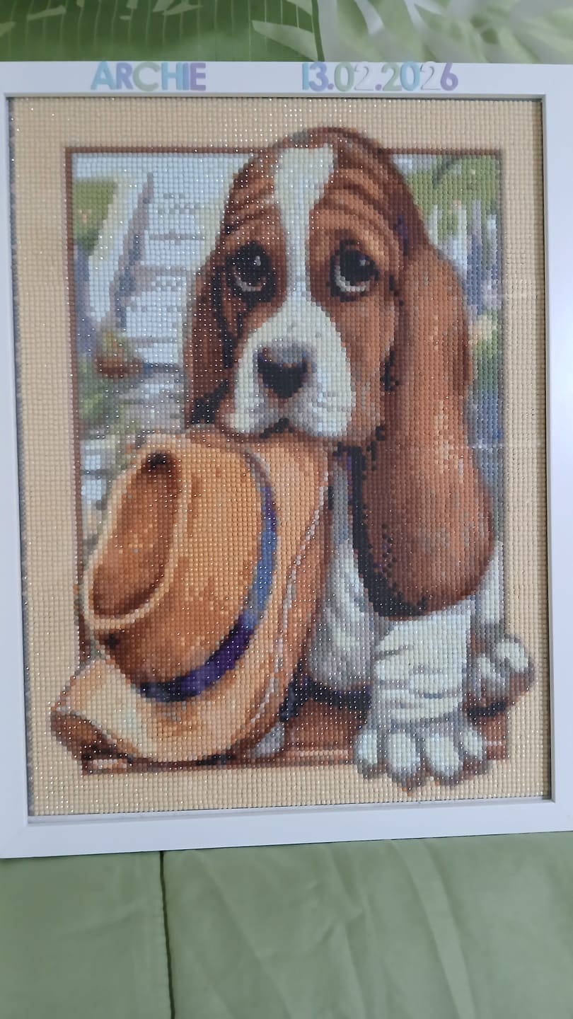 Customer photo review of Full Drill - 5D DIY Diamond Painting Kits Dream Cartoon Cute Dog