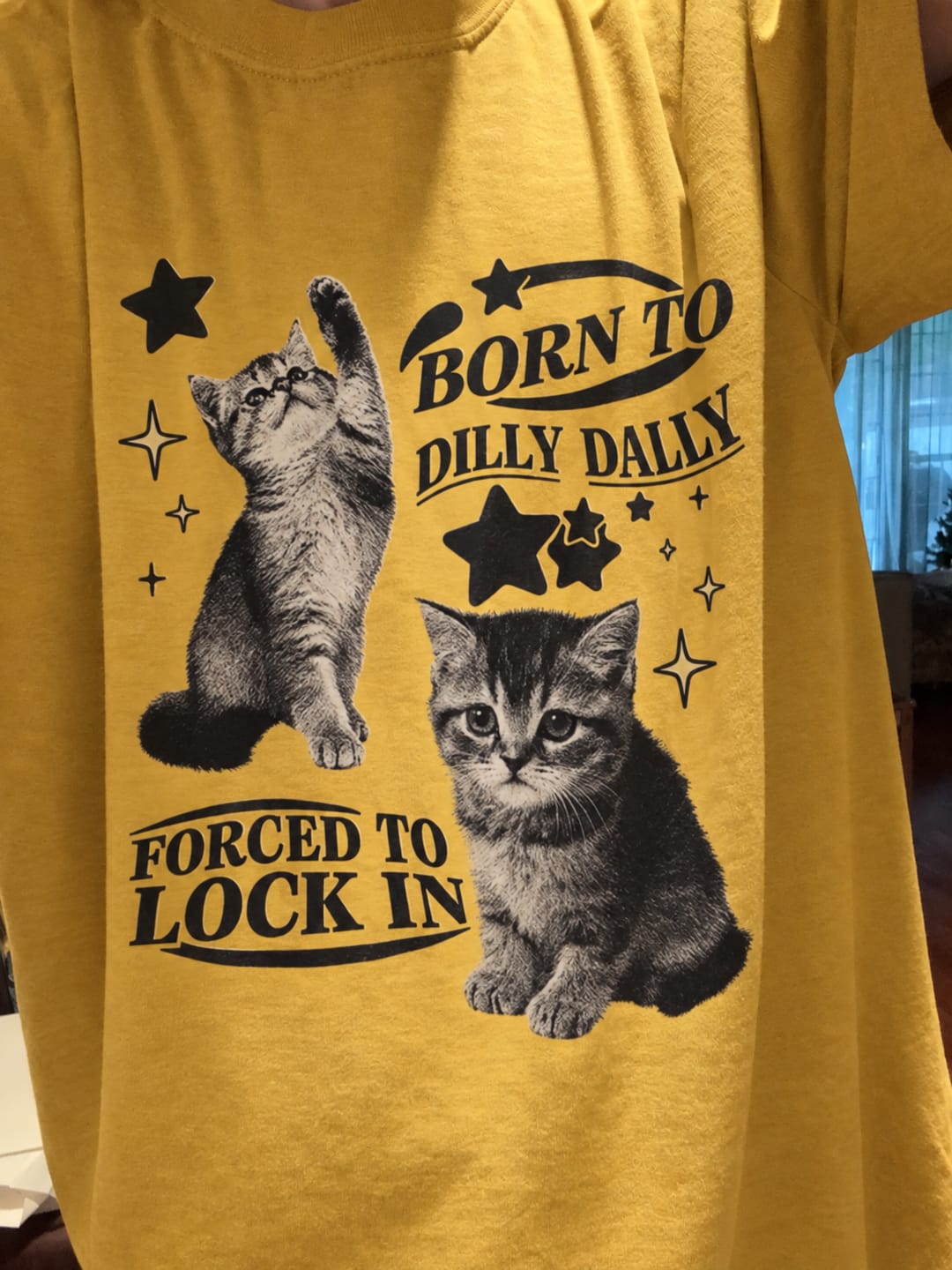Customer photo review of Born to Dilly Dally, Forced to Lock In Cat T-Shirt