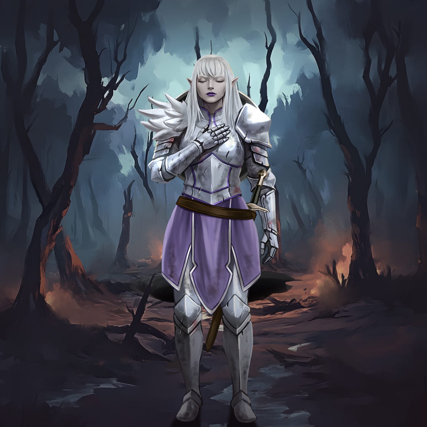 Customer photo review of D&D Character Art