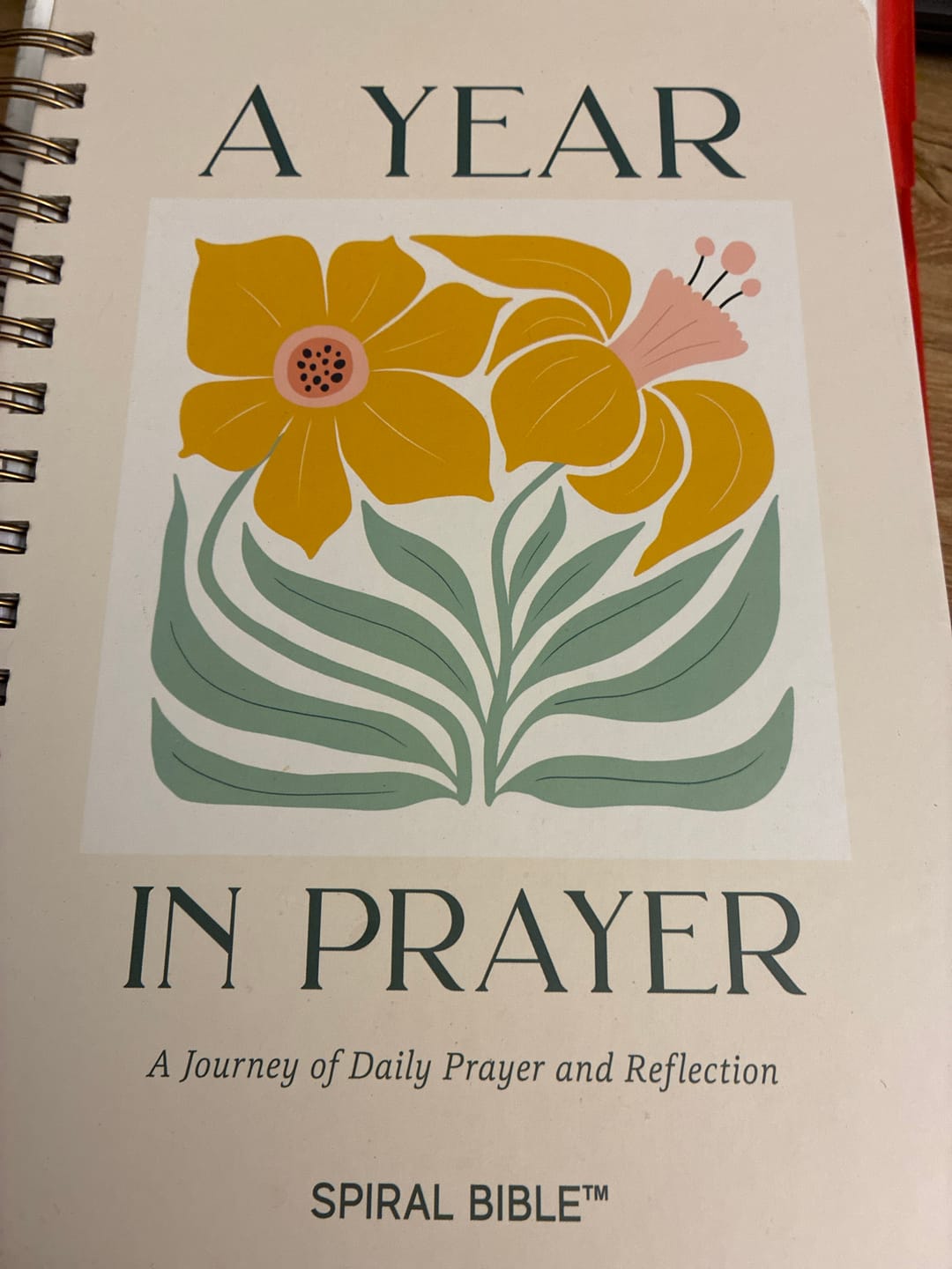 Customer photo review of Spiral Bible™ - NLT - Job - Song of Solomon (Hardcover)
