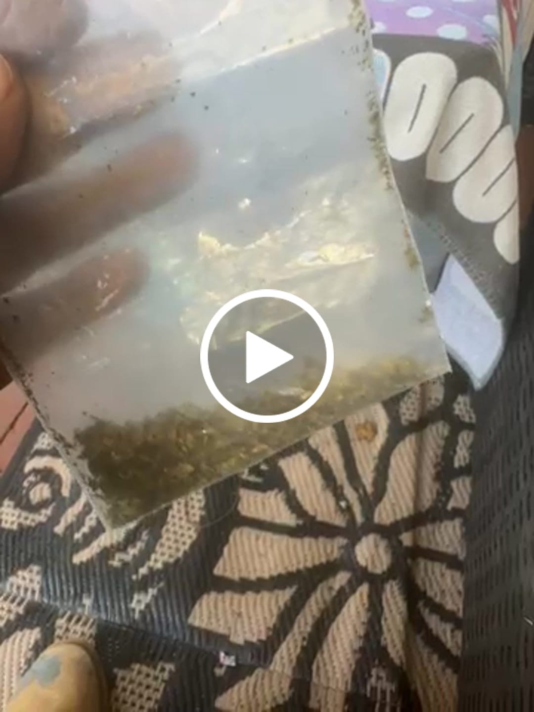 Customer video review of Blueberry Skittlez (Indoor Smalls) - THCA Flower