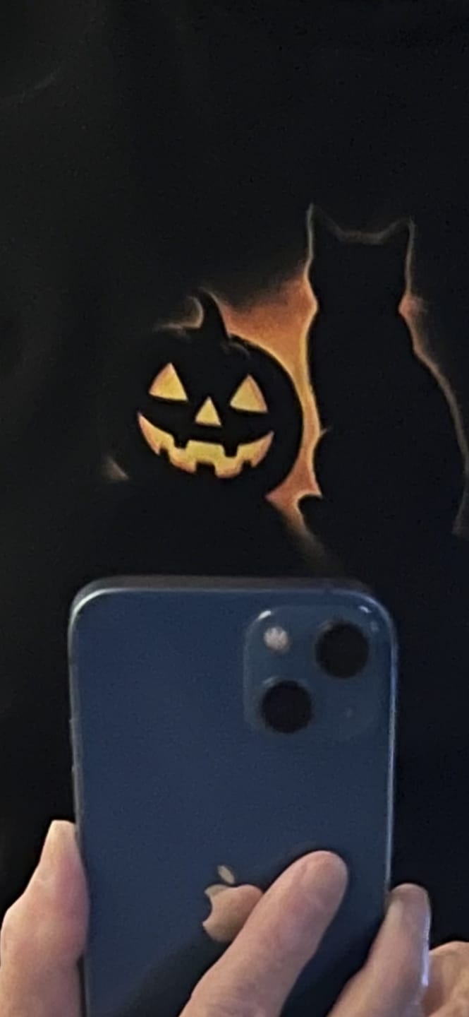 Customer photo review of Cat and Pumpkin T-Shirt