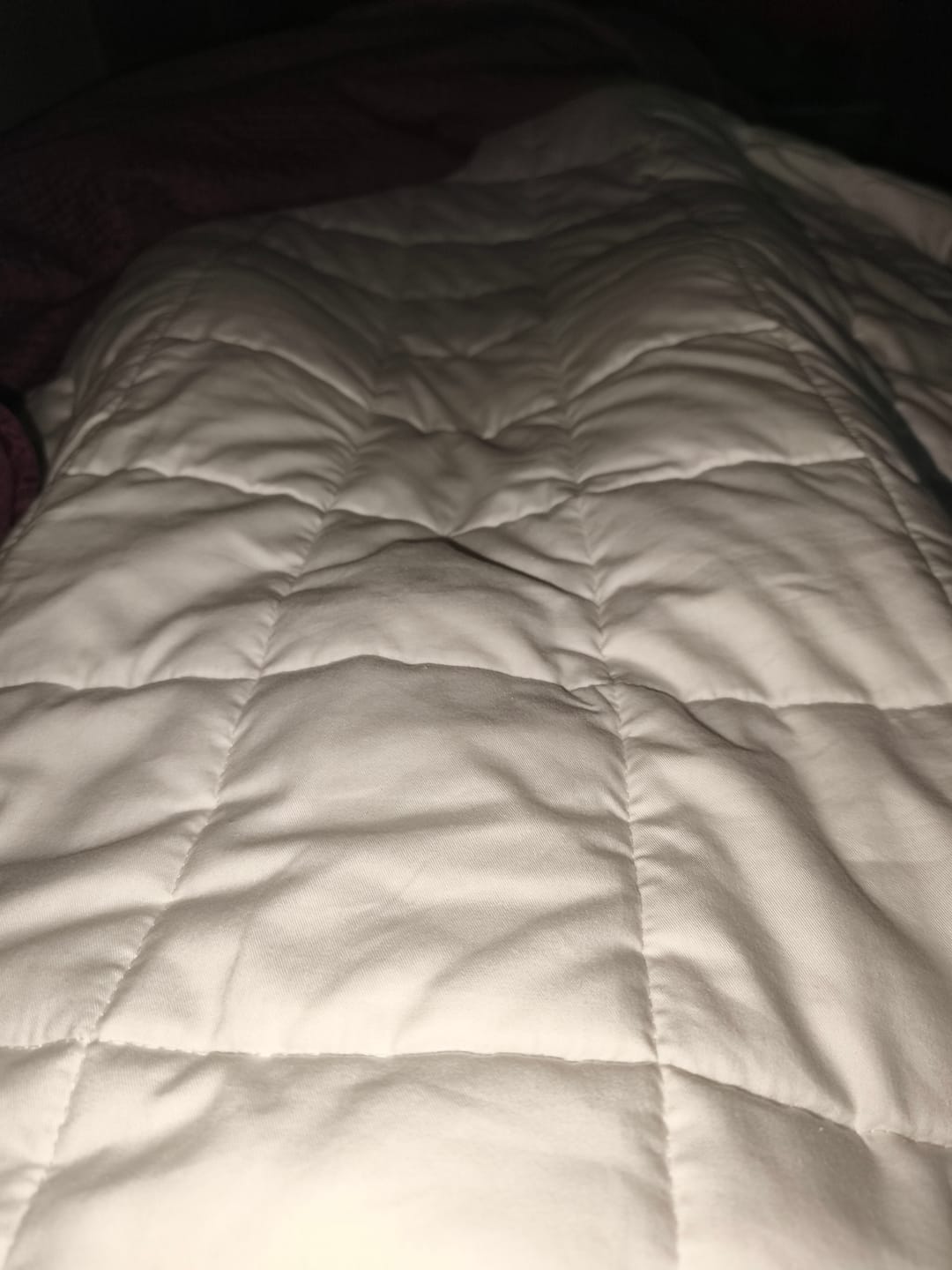 Customer photo review of Manta Pesada (PersonalPlus) - 100 noches de prueba / Algodón 100% natural