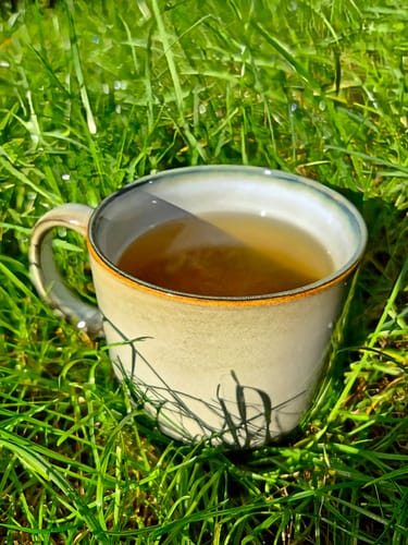Kundenfoto von Jelena S. zu Scandic Soul - Tasse Nordic Forest (4er Set)