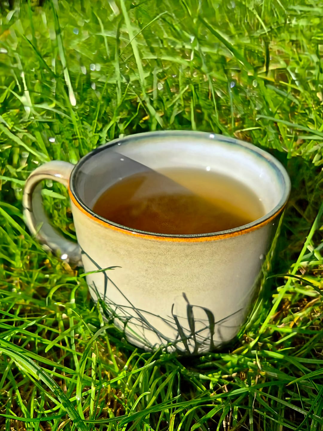 Customer photo review of Scandic Soul - Tasse Nordic Forest (4er Set)