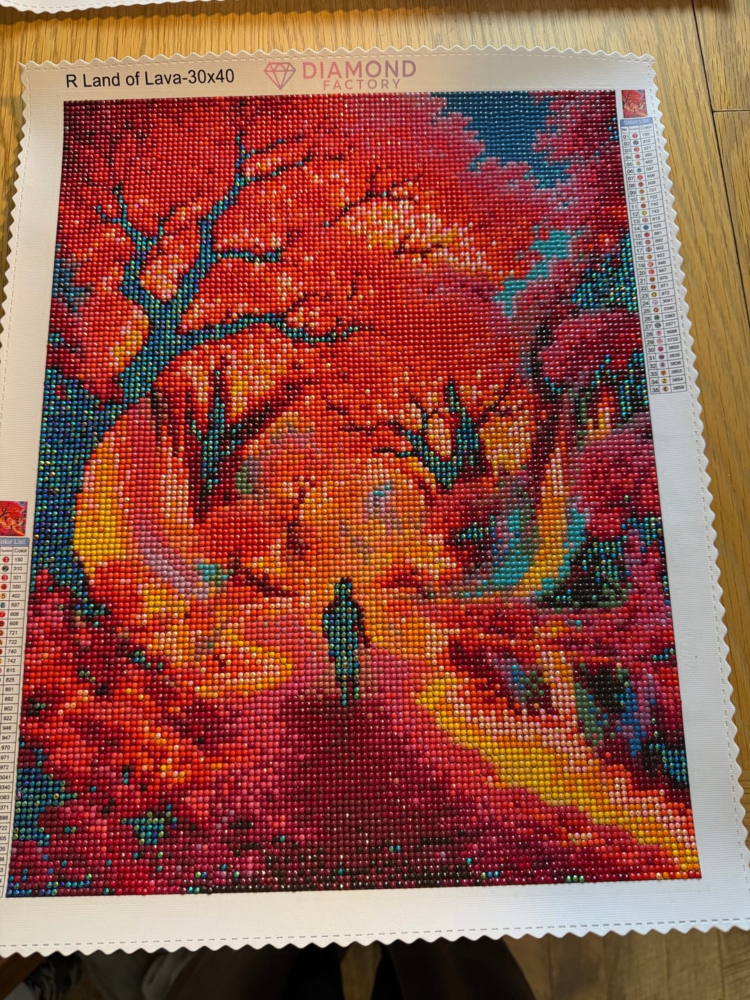 Customer photo review of Land of Lava
