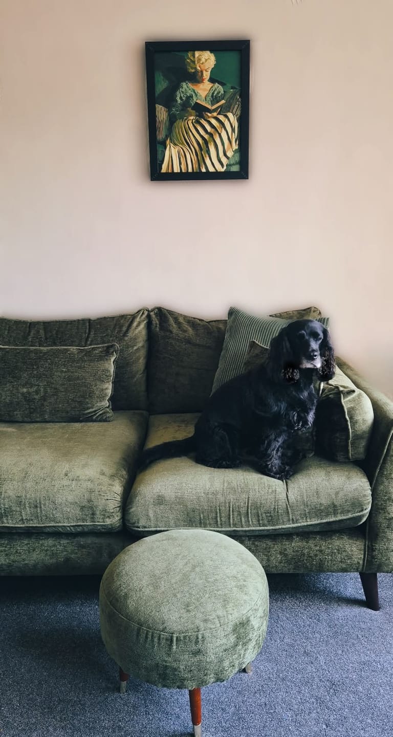 Customer photo review of Reading Marilyn | Paint by Number