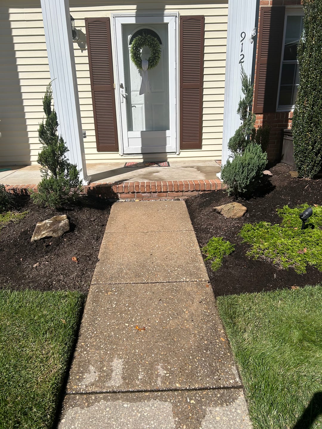 Customer photo review of Topiary Spiral Brodie Eastern Red Cedar Juniper