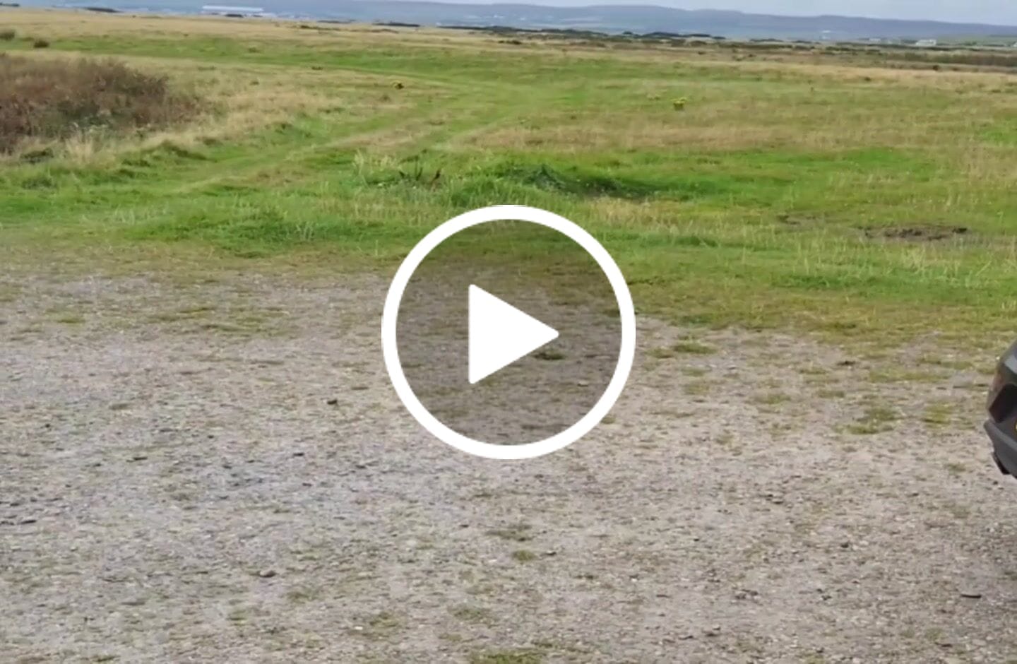 Customer video review of Green Lipped Mussel Powder For Dogs