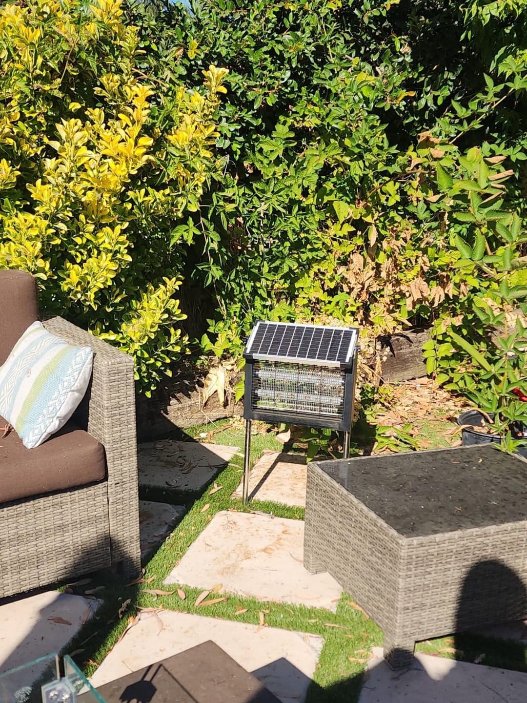Customer photo review of GroundGuard Sentinel — Solar Bug Zapper