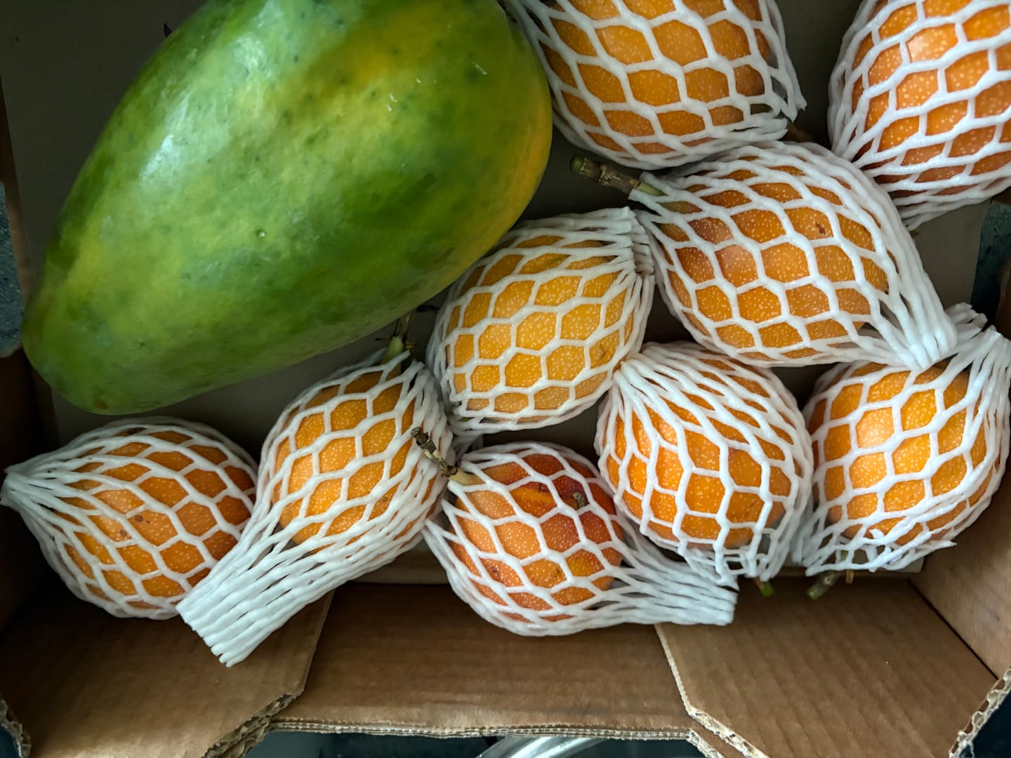 Customer photo review of Papaya Naturbelassen von Julian Wochenaktion %
