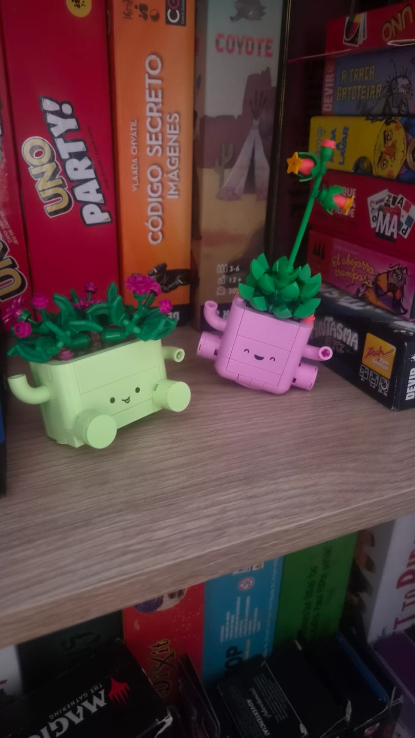 Customer photo review of PLANTAS BAILARINAS